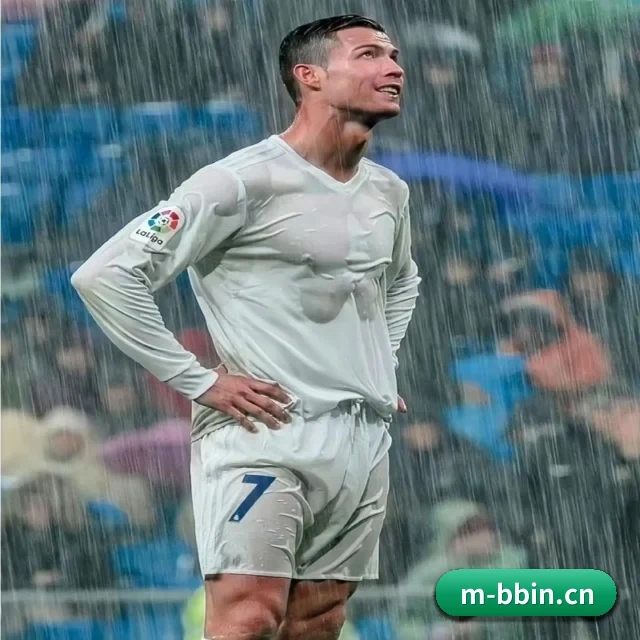 bbin体育 APP