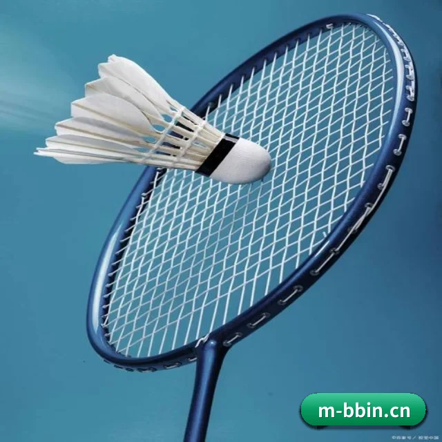bbin体育 APP 界面